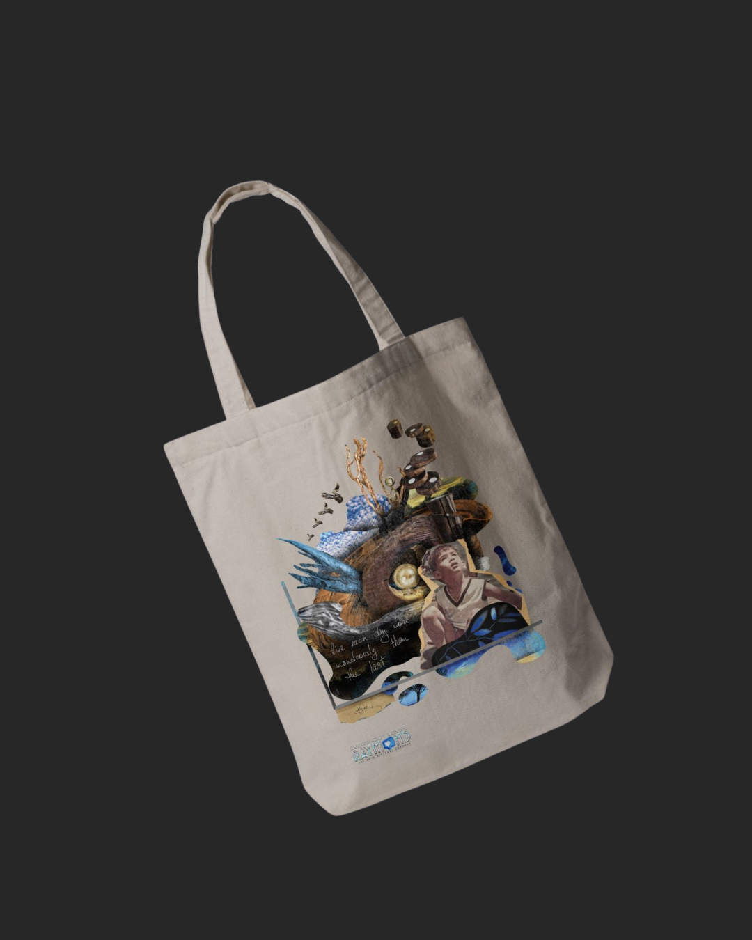 EVERYBODY LOVES RAYMOND Bundle