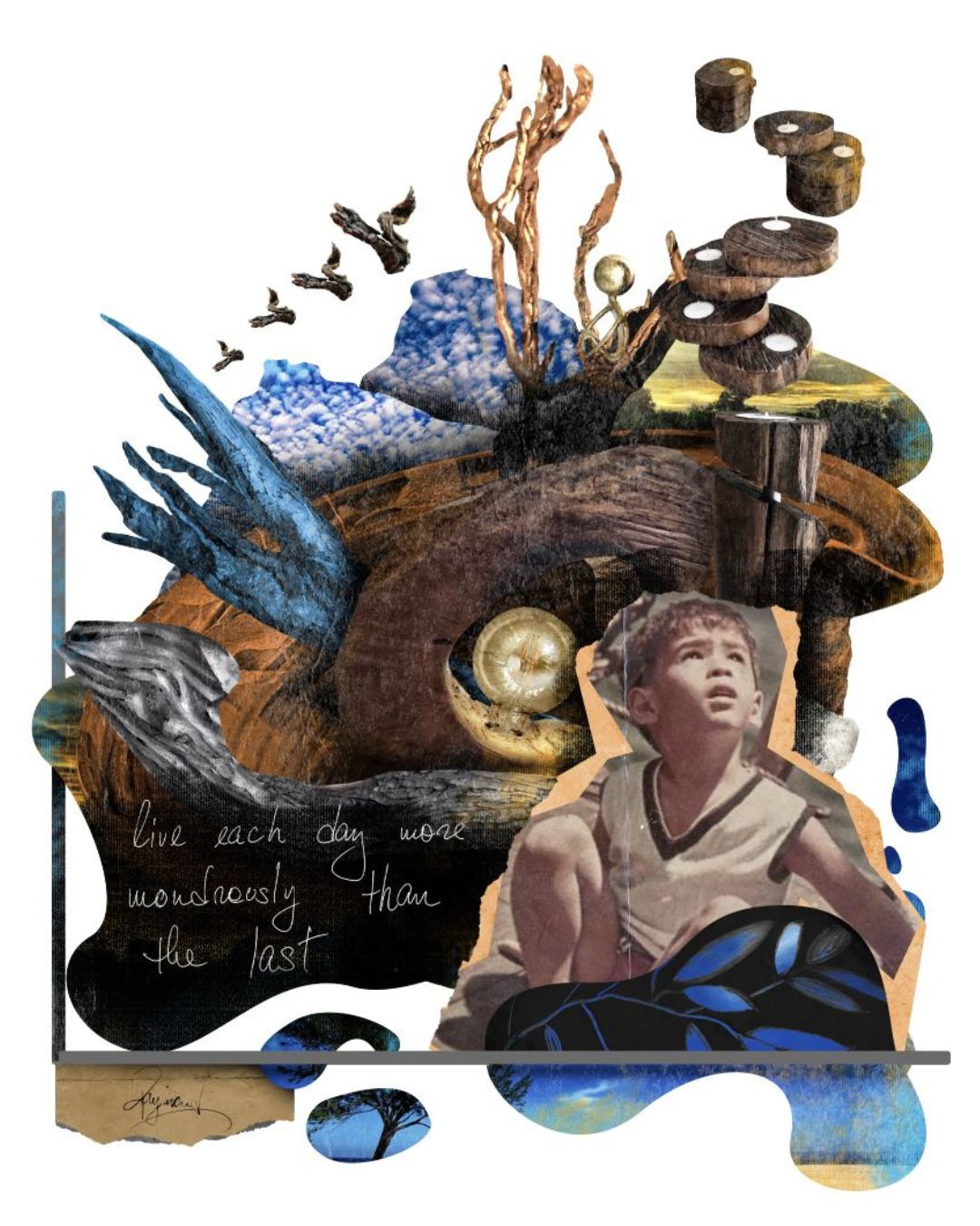 EVERYBODY LOVES RAYMOND Bundle