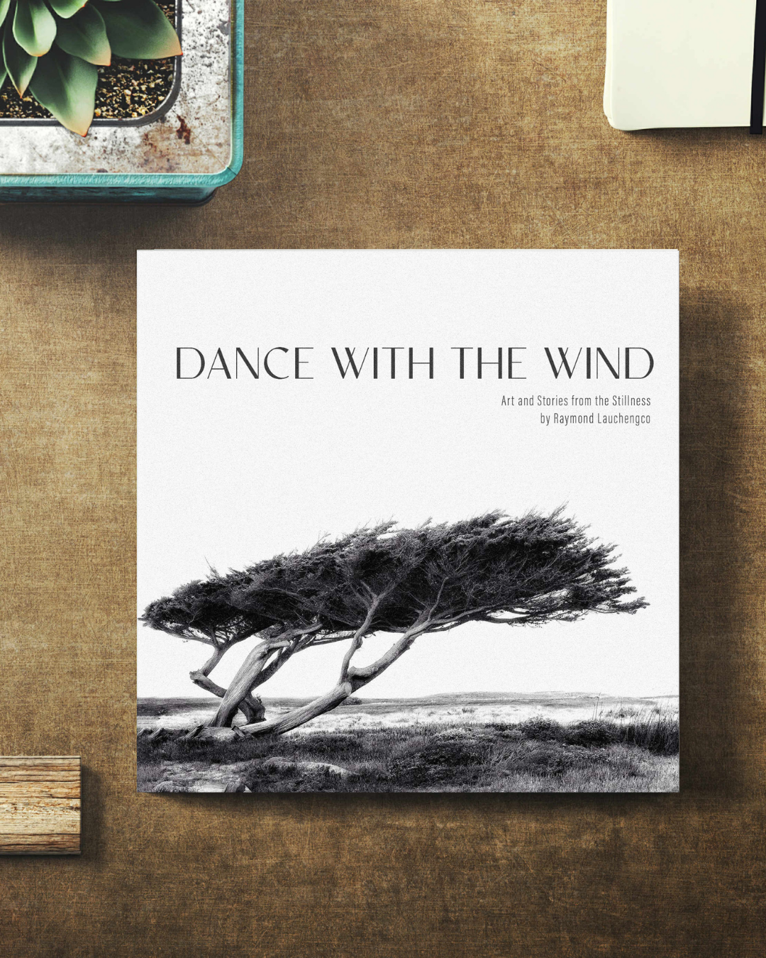 [Pre-Order] Dance With the Wind: Art and Stories from the Stillness + FREE VIP Meet/Greet for Everybody Loves Raymond