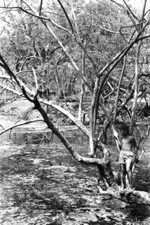 Boys in the Lagoon 3