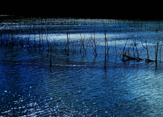 Moonlit - Series of 10