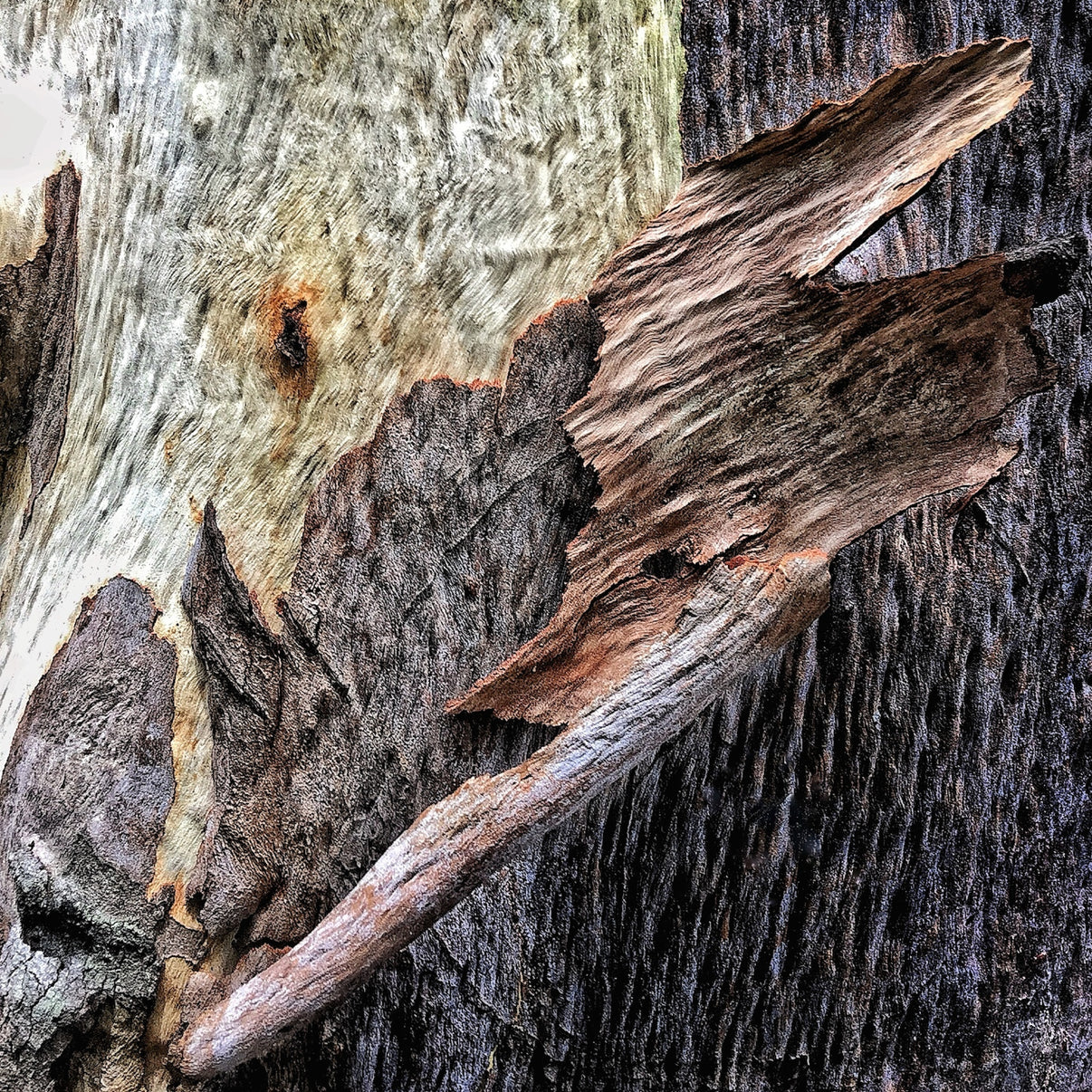 New Life - Series of 10 – Raymond Lauchengco